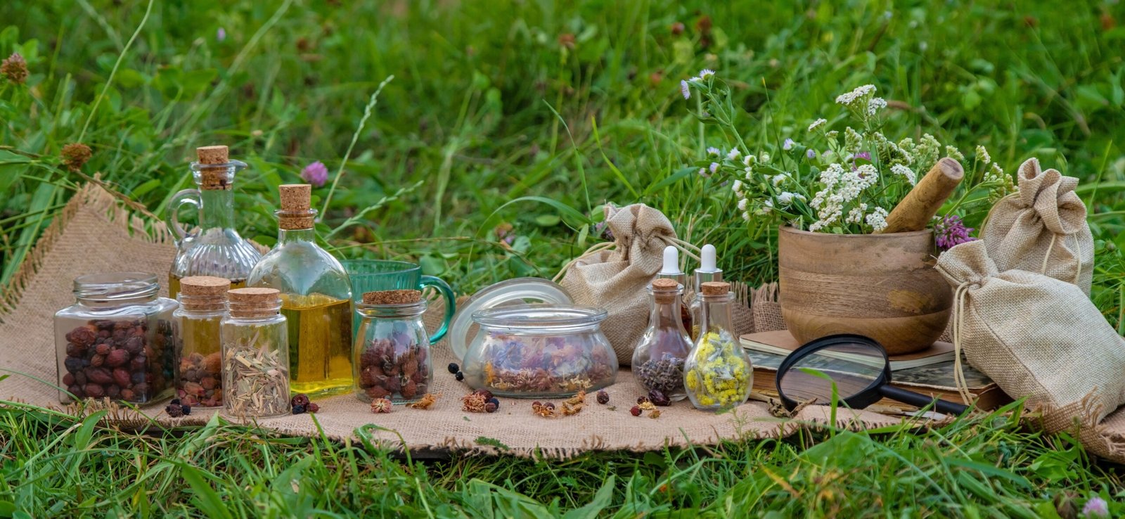 Naturopata - Approccio olistico e naturale